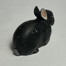 Load image into Gallery viewer, Netherland Dwarf rabbit - Trading Figure - Miniature - 021 P11-A - Cuchiwaii

