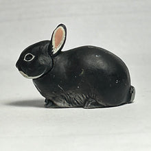 Load image into Gallery viewer, Netherland Dwarf rabbit - Trading Figure - Miniature - 021 P11-A - Cuchiwaii
