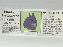 Load image into Gallery viewer, Netherland Dwarf rabbit - Trading Figure - Miniature - 022 P11-B - Cuchiwaii
