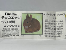 Load image into Gallery viewer, Netherland Dwarf rabbit - Trading Figure - Miniature - 023 P11-C - Cuchiwaii
