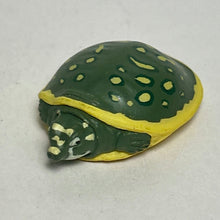 Load image into Gallery viewer, Northern Indian Box Turtle - Figure - Miniature - Cuchiwaii

