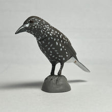 Cargar imagen en el visor de la galería, Northern nutcracker - Trading Figure - Miniature (133) - Cuchiwaii
