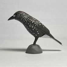 Cargar imagen en el visor de la galería, Northern nutcracker - Trading Figure - Miniature (133) - Cuchiwaii
