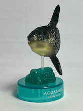 Cargar imagen en el visor de la galería, Ocean sunfish / Mola mola - Trading Figure - Miniature - Cuchiwaii
