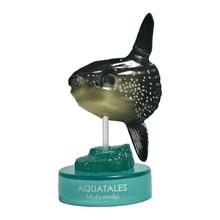 Cargar imagen en el visor de la galería, Ocean sunfish / Mola mola - Trading Figure - Miniature - Cuchiwaii
