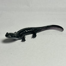 Load image into Gallery viewer, Odaigahara salamander - Trading Figure - Miniature (103) - Cuchiwaii
