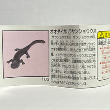 Load image into Gallery viewer, Odaigahara salamander - Trading Figure - Miniature (103) - Cuchiwaii
