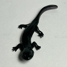 Load image into Gallery viewer, Odaigahara salamander - Trading Figure - Miniature (103) - Cuchiwaii
