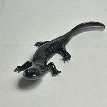 Load image into Gallery viewer, Odaigahara salamander - Trading Figure - Miniature (103) - Cuchiwaii
