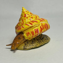 Load image into Gallery viewer, Okinaebisu-gai sea snail - Trading Figure - Miniature - 166 - Cuchiwaii
