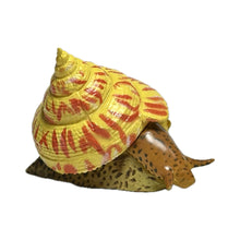 Load image into Gallery viewer, Okinaebisu-gai sea snail - Trading Figure - Miniature - 166 - Cuchiwaii
