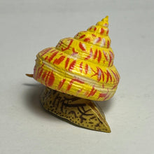 Load image into Gallery viewer, Okinaebisu-gai sea snail - Trading Figure - Miniature - 166 - Cuchiwaii
