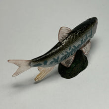 Cargar imagen en el visor de la galería, Opsariichthys uncirostris - Trading Figure - Miniature (157) - Cuchiwaii
