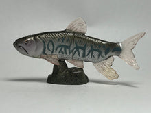 Cargar imagen en el visor de la galería, Opsariichthys uncirostris - Trading Figure - Miniature (157) - Cuchiwaii

