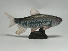 Cargar imagen en el visor de la galería, Opsariichthys uncirostris - Trading Figure - Miniature (157) - Cuchiwaii
