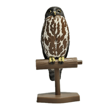 Cargar imagen en el visor de la galería, Oriental Scops Owl / Inox Scutulata - Trading Figure - Miniature (1) - Cuchiwaii
