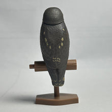 Cargar imagen en el visor de la galería, Oriental Scops Owl / Inox Scutulata - Trading Figure - Miniature (1) - Cuchiwaii

