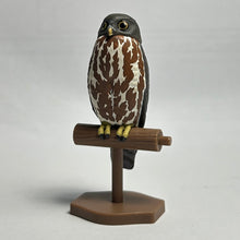 Cargar imagen en el visor de la galería, Oriental Scops Owl / Inox Scutulata - Trading Figure - Miniature (1) - Cuchiwaii
