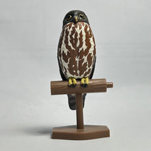 Cargar imagen en el visor de la galería, Oriental Scops Owl / Inox Scutulata - Trading Figure - Miniature (1) - Cuchiwaii
