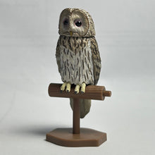 Cargar imagen en el visor de la galería, Owl / Strix Uralensis - Trading Figure - Miniature (4) - Cuchiwaii
