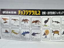 Cargar imagen en el visor de la galería, Pachydiscus - Trading Figure - Miniature (007) - Cuchiwaii
