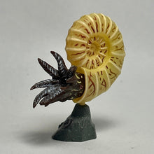 Load image into Gallery viewer, Pachydiscus - Trading Figure - Miniature (017) - Cuchiwaii
