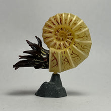 Load image into Gallery viewer, Pachydiscus - Trading Figure - Miniature (017) - Cuchiwaii

