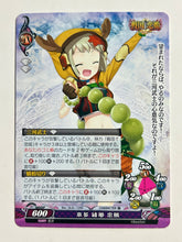 Load image into Gallery viewer, Phantasmagoria TCG - Honda Heihachirou Ayana Tadakatsu - Ver.16.0/1395[C] - Cuchiwaii
