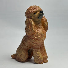 Cargar imagen en el visor de la galería, Poodle - Trading Figure - Miniature - 007-A - Cuchiwaii
