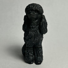 Load image into Gallery viewer, Poodle - Trading Figure - Miniature - 007-C - Cuchiwaii
