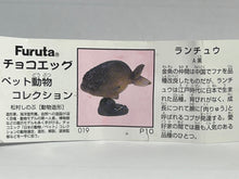 Load image into Gallery viewer, Ranchu - Trading Figure - Miniature - 019 P10-A - Cuchiwaii
