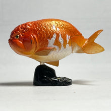 Cargar imagen en el visor de la galería, Ranchu - Trading Figure - Miniature - 020 P10-B - Cuchiwaii
