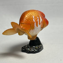 Cargar imagen en el visor de la galería, Ranchu - Trading Figure - Miniature - 020 P10-B - Cuchiwaii
