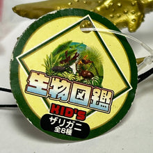 Load image into Gallery viewer, Real Crayfish - Mascot Strap - Gold ver. - Cuchiwaii
