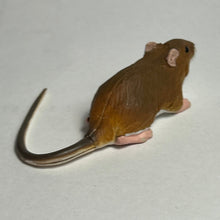 Load image into Gallery viewer, Red-eyed field mouse - Trading Figure - Miniature - 031C - Cuchiwaii

