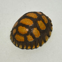 Load image into Gallery viewer, Red-footed tortoise (Chelonoidis carbonarius) - Figure - Miniature - Cuchiwaii
