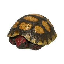 Load image into Gallery viewer, Red-footed tortoise (Chelonoidis carbonarius) - Figure - Miniature - Cuchiwaii
