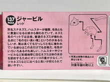 Load image into Gallery viewer, Red Gerbil - Trading Figure - Miniature - 137 P65A - Cuchiwaii

