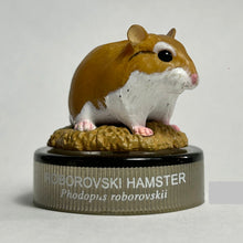 Load image into Gallery viewer, Roborovski Hamster - Figure - Bottle Cap (09) - Cuchiwaii
