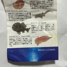 Load image into Gallery viewer, Rough Snailfish - Trading Figure - Miniature (9) - Cuchiwaii
