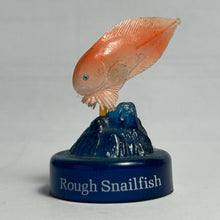 Load image into Gallery viewer, Rough Snailfish - Trading Figure - Miniature (9) - Cuchiwaii

