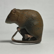 Load image into Gallery viewer, Ryukyu Spiny rat - Trading Figure - Miniature - 143 - Cuchiwaii
