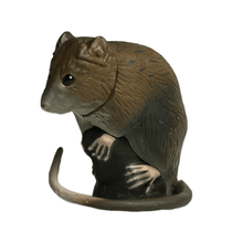Load image into Gallery viewer, Ryukyu Spiny rat - Trading Figure - Miniature - 143 - Cuchiwaii
