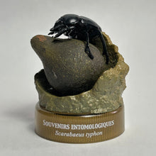 Cargar imagen en el visor de la galería, Sacred Scarab and Dung Ball (Scarabaeus typhon) - Mini Figure - Bottle Cap - Cuchiwaii
