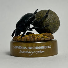 Cargar imagen en el visor de la galería, Sacred Scarab (Scarabaeus typhon) - Mini Figure - Bottle Cap - Cuchiwaii
