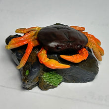Cargar imagen en el visor de la galería, Sawagani / Freshwater Crab - Trading Figure - Minifigure - Cuchiwaii
