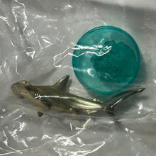Cargar imagen en el visor de la galería, Scalloped hammerhead (Sphyrna lewini) - Trading Figure - Miniature - Bottle Cap - Cuchiwaii
