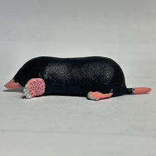 Load image into Gallery viewer, Shrew - Trading Figure - Miniature - 172 - Cuchiwaii
