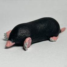 Load image into Gallery viewer, Shrew - Trading Figure - Miniature - 172 - Cuchiwaii
