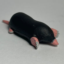 Load image into Gallery viewer, Shrew - Trading Figure - Miniature - 172 - Cuchiwaii
